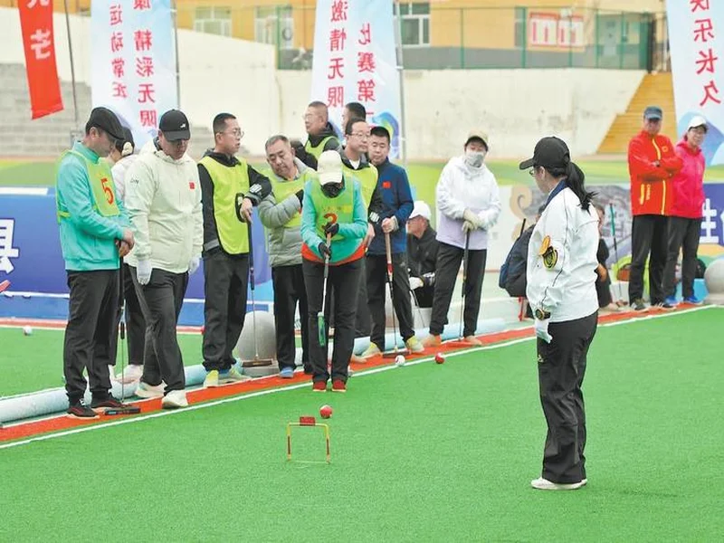 甘泉县2025年“体彩杯”门球邀请赛顺利举办